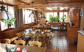 Hotel Restaurant Koi-Gartenteich